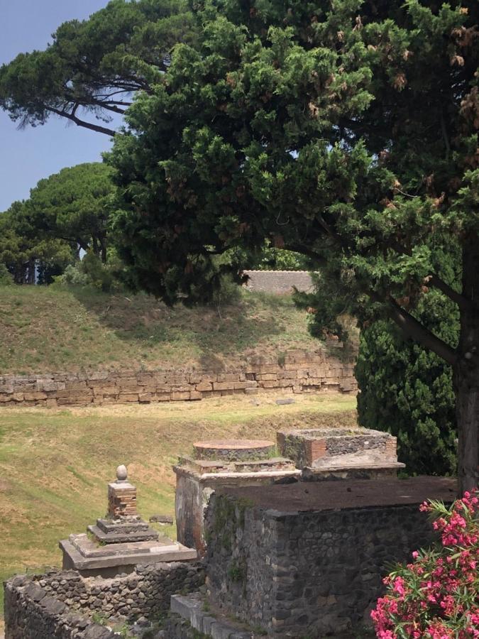 Kimy B&B Pompei Dış mekan fotoğraf